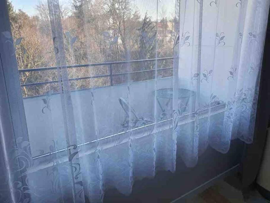 Apartment 55 I Cental Hof I Wifi I Tv Экстерьер фото